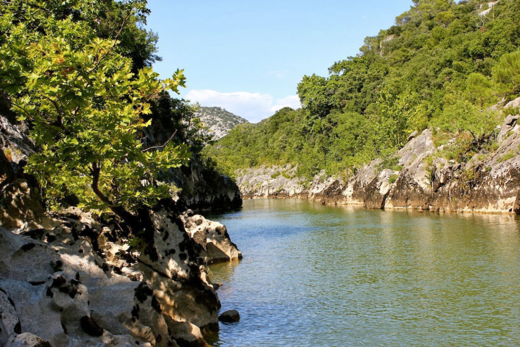 Descente en canoë des Gorges de l'Hérault